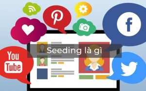 Các cách seeding facebook hiệu quả nhất hiện nay