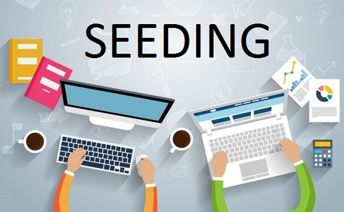 Lợi ích seeding Zalo